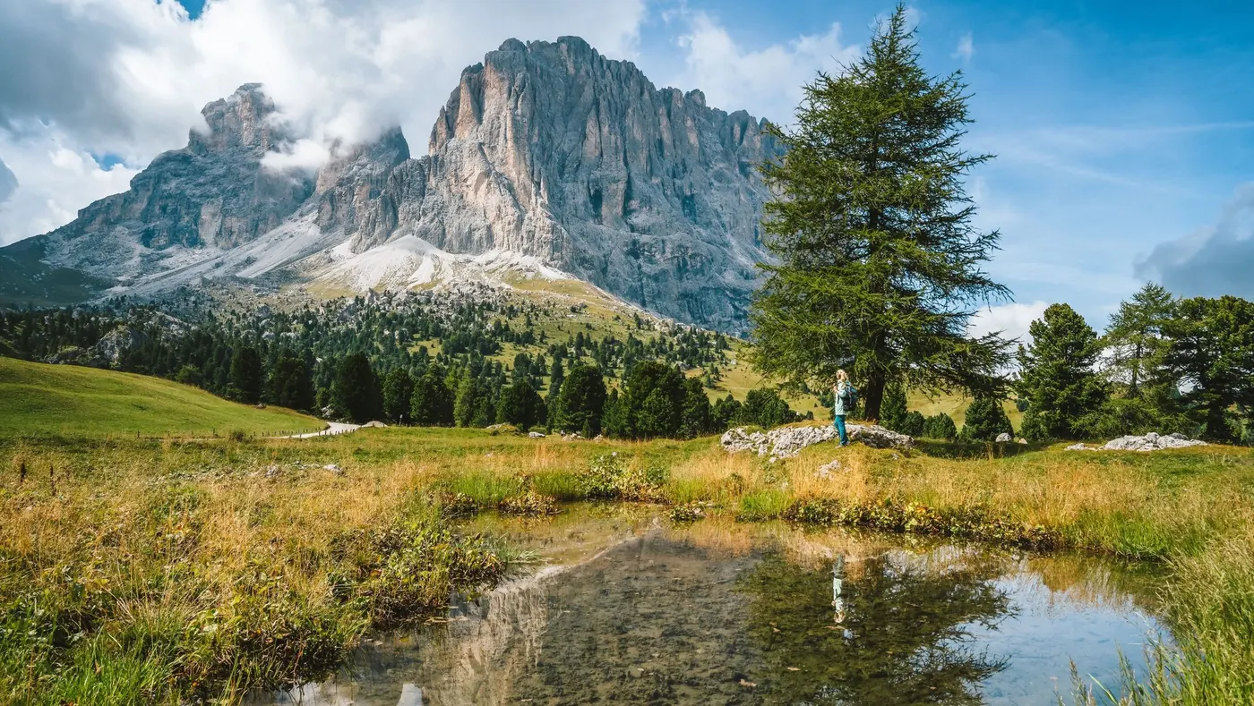 The Sassolungo and Sella groups of the Dolomites above open meadow